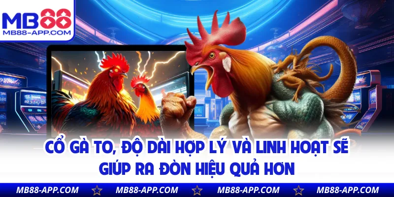 Cổ gà to, độ dài hợp lý và linh hoạt sẽ giúp ra đòn hiệu quả hơn